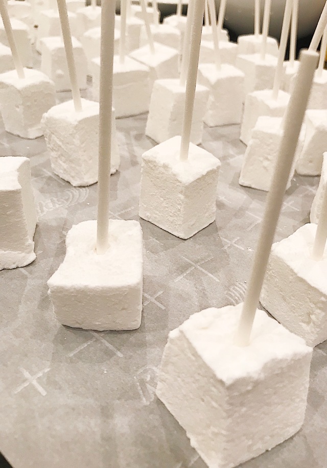 marshmallow sticks 5